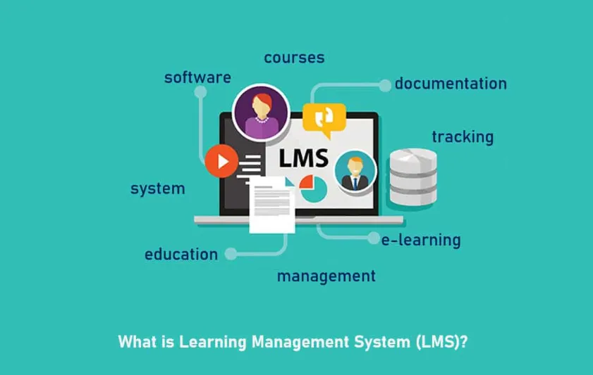 Education / LMS Platform Development